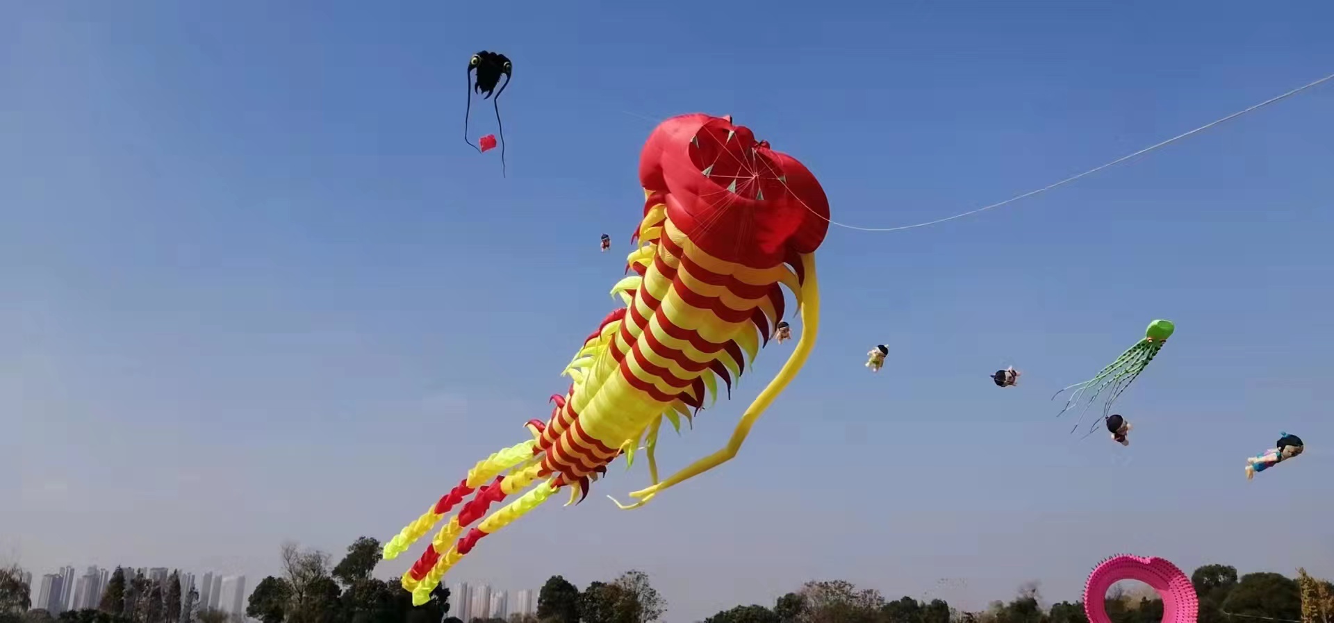 芜湖风筝协会（冬季大放飞活动）（